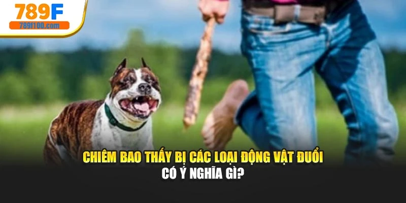 Chiêm bao thấy bị các loại động vật đuổi có ý nghĩa gì?