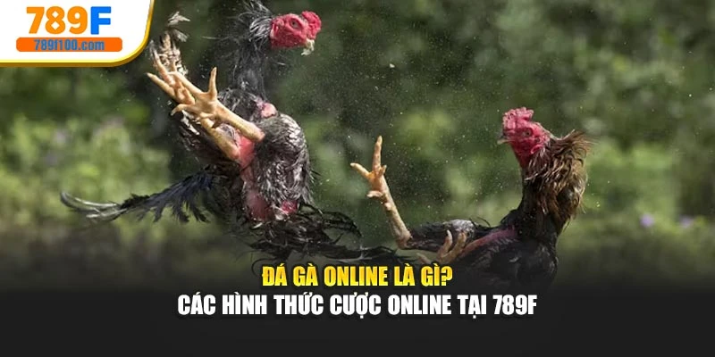 Đá Gà Online Là Gì? Các Hình Thức Cược Online Tại 789F