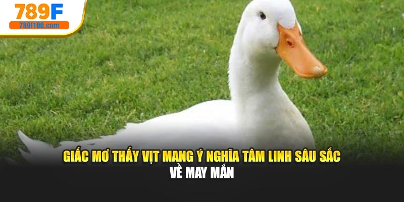 Giấc mơ thấy vịt mang ý nghĩa tâm linh sâu sắc về may mắn