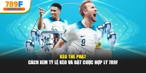 Kèo Thẻ Phạt – Cách Xem Tỷ Lệ Kèo Và Đặt Cược Hợp Lý 789f