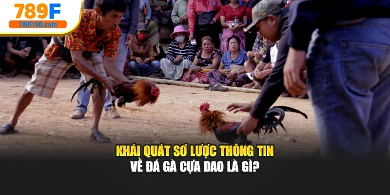 Khái quát sơ lược thông tin về đá gà cựa dao là gì?
