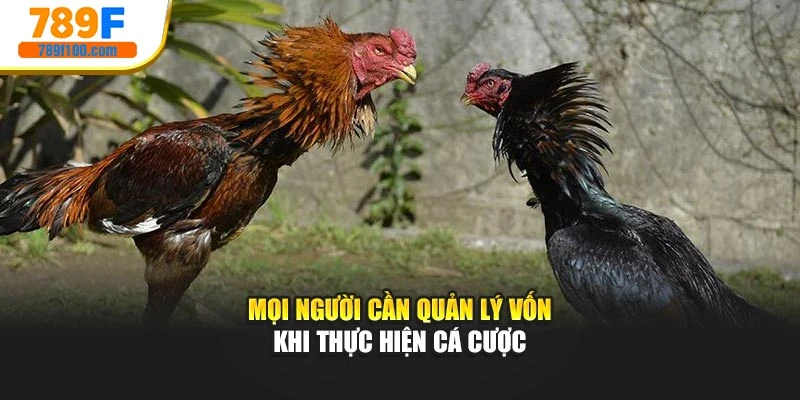 Mọi người cần quản lý vốn khi thực hiện cá cược