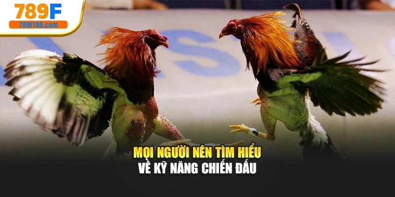 Mọi người nên tìm hiểu về kỹ năng chiến đấu