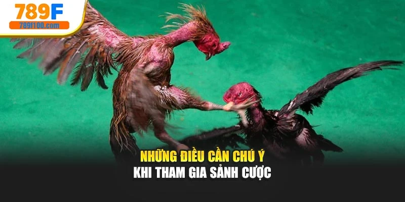 Những điều cần chú ý khi tham gia sảnh cược