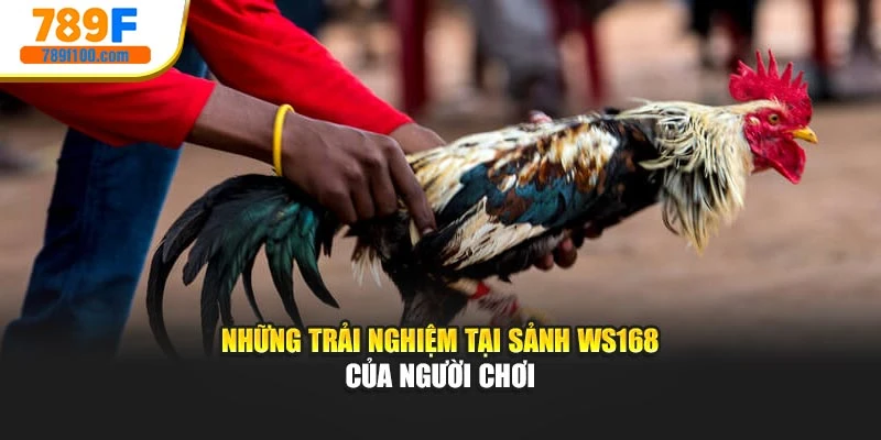 Những trải nghiệm tại sảnh WS168 của người chơi