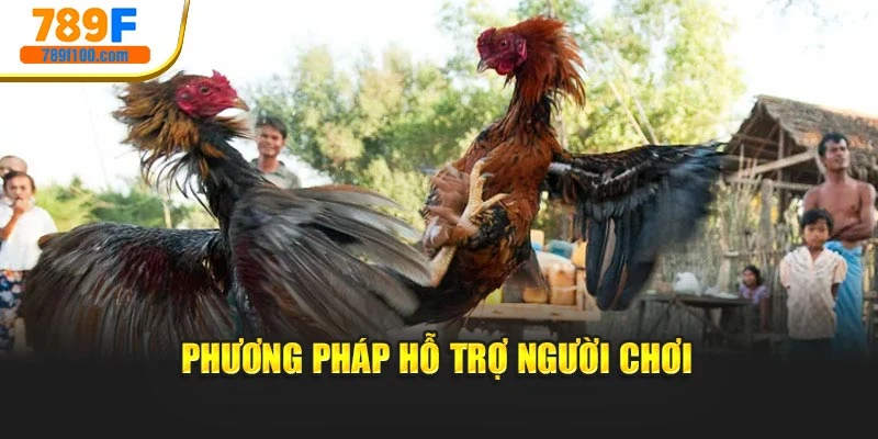 Phương pháp hỗ trợ người chơi
