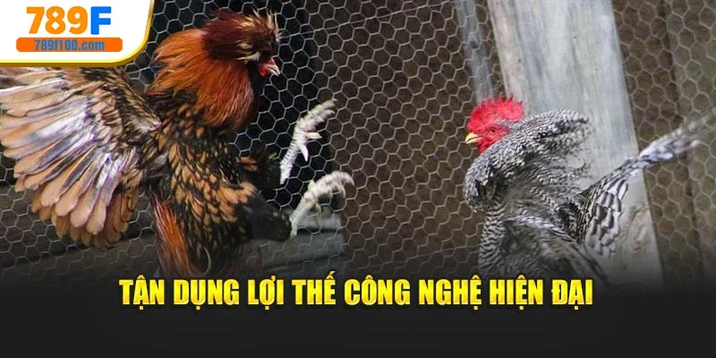 Tận dụng lợi thế công nghệ hiện đại